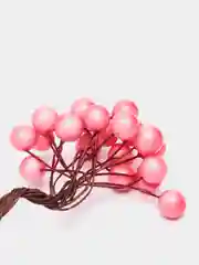 Розовый ягодки на веточке