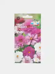 Семена Космея  Парадиз  набор 1, 3, 5 уп