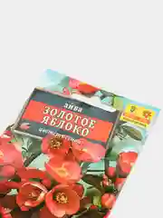Семена "Айва Золотое яблоко"
