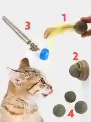 Аметистовый лакомства, кошачья мята