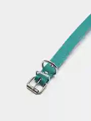 Бирюзовый ошейник кожаный для собак и кошек
