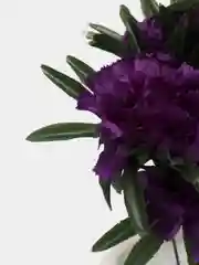 Фиолетовый искусственные Цветы