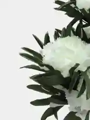 Белый искусственные Цветы
