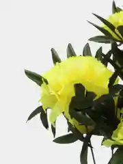 Желтый искусственные Цветы