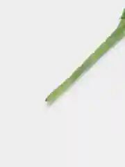 Белый цветы искусственные
