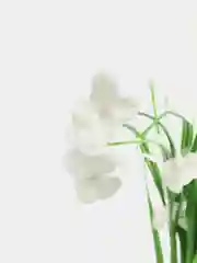 Белый цветы искусственные
