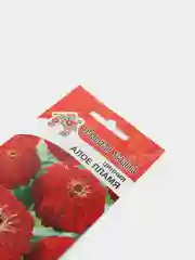 Семена цветов, цинния "Алое пламя"