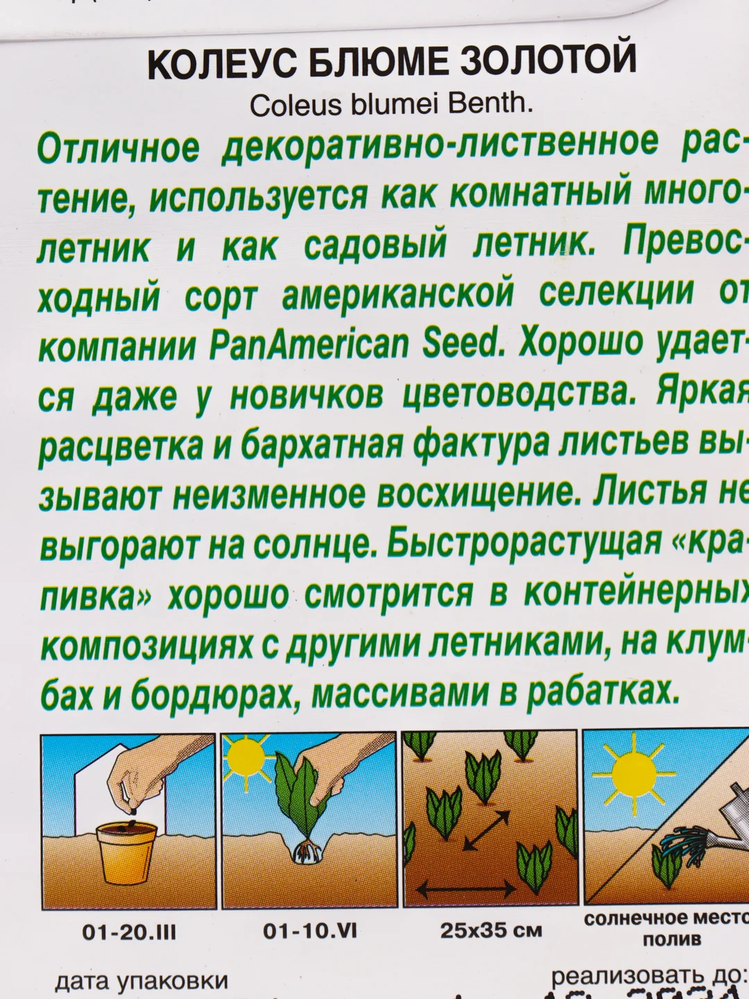 Семена Колеус блюме "Золотой" набор 1, 3, 5 уп