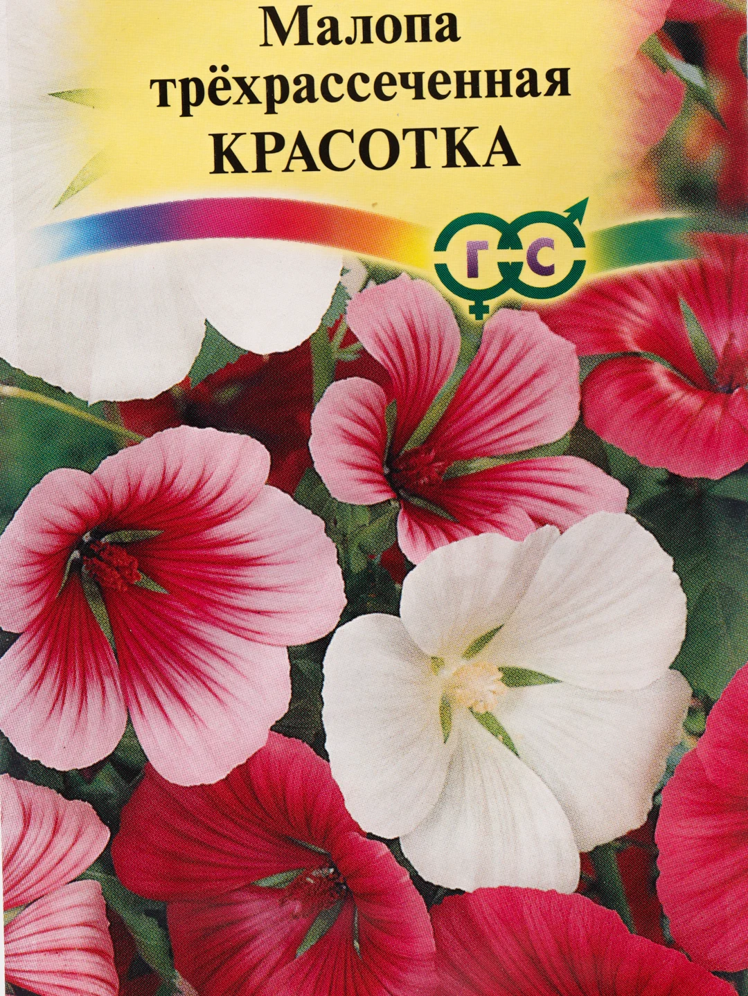 Семена Малопа трехрассеченная "Красотка" набор 1, 3, 5 уп
