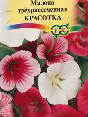 Семена Малопа трехрассеченная "Красотка" набор 1, 3, 5 уп