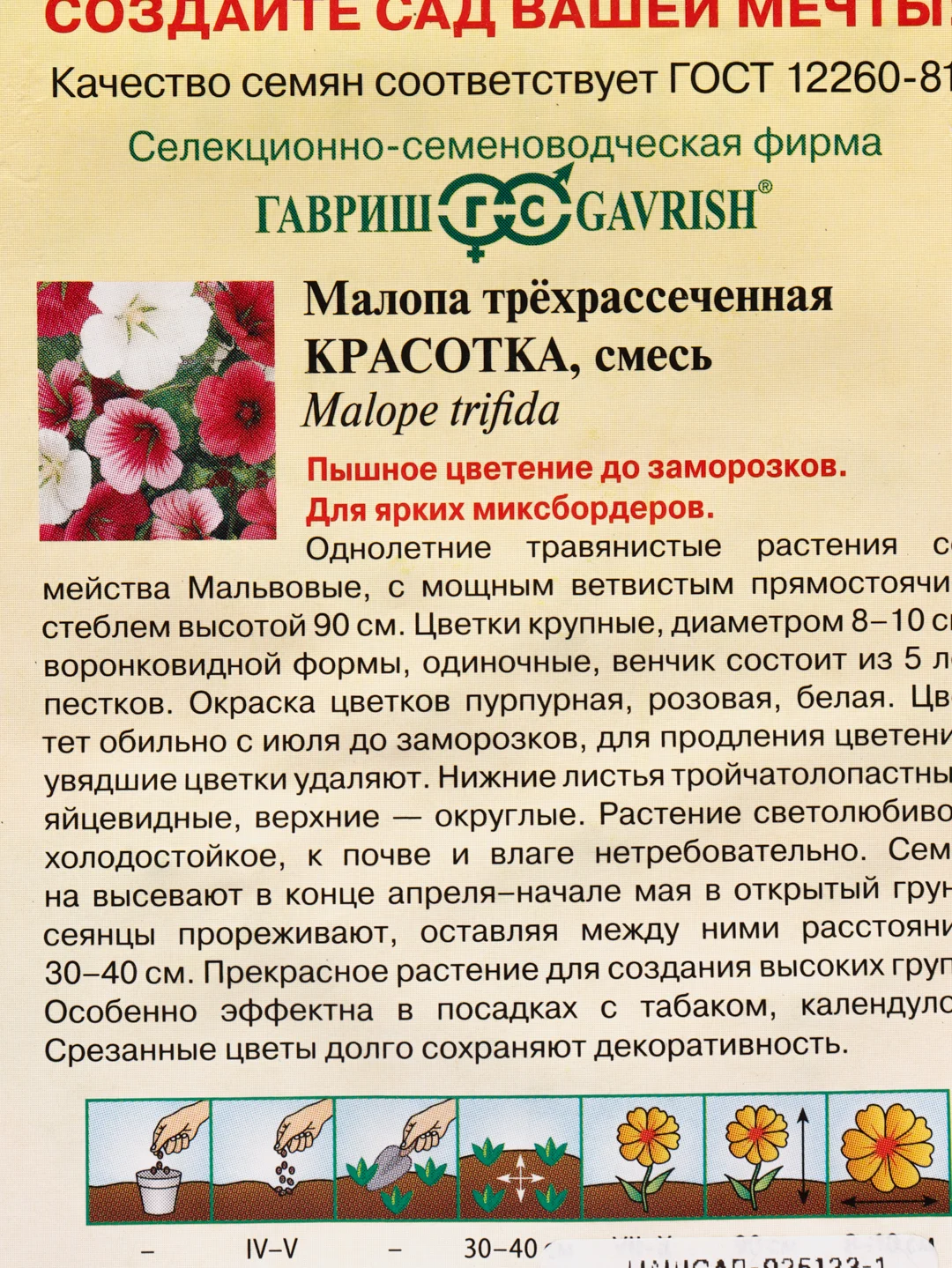 Семена Малопа трехрассеченная "Красотка" набор 1, 3, 5 уп