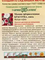 Семена Малопа трехрассеченная "Красотка" набор 1, 3, 5 уп