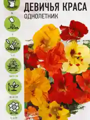 Семена Настурция "Девичья краса" набор 1, 3, 5 уп