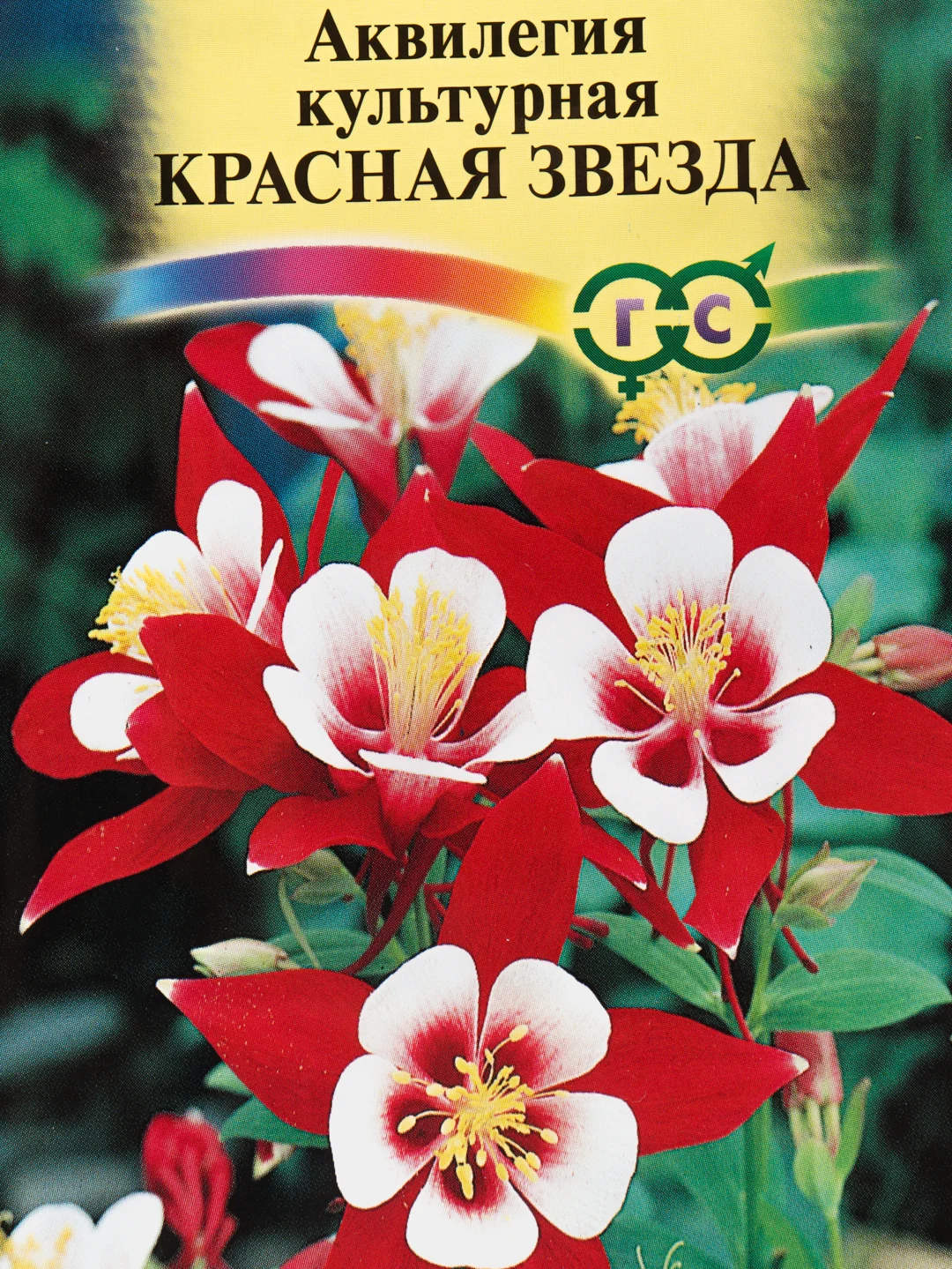Семена Аквилегия "Красная звезда" набор 1, 3, 5 уп