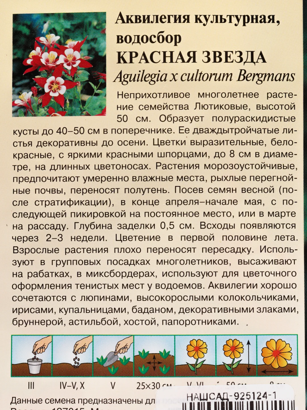Семена Аквилегия "Красная звезда" набор 1, 3, 5 уп
