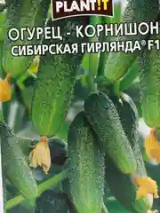 Семена Огурец-корнишон "Сибирская гирлянда F1" набор 1, 2, 3, 5 уп