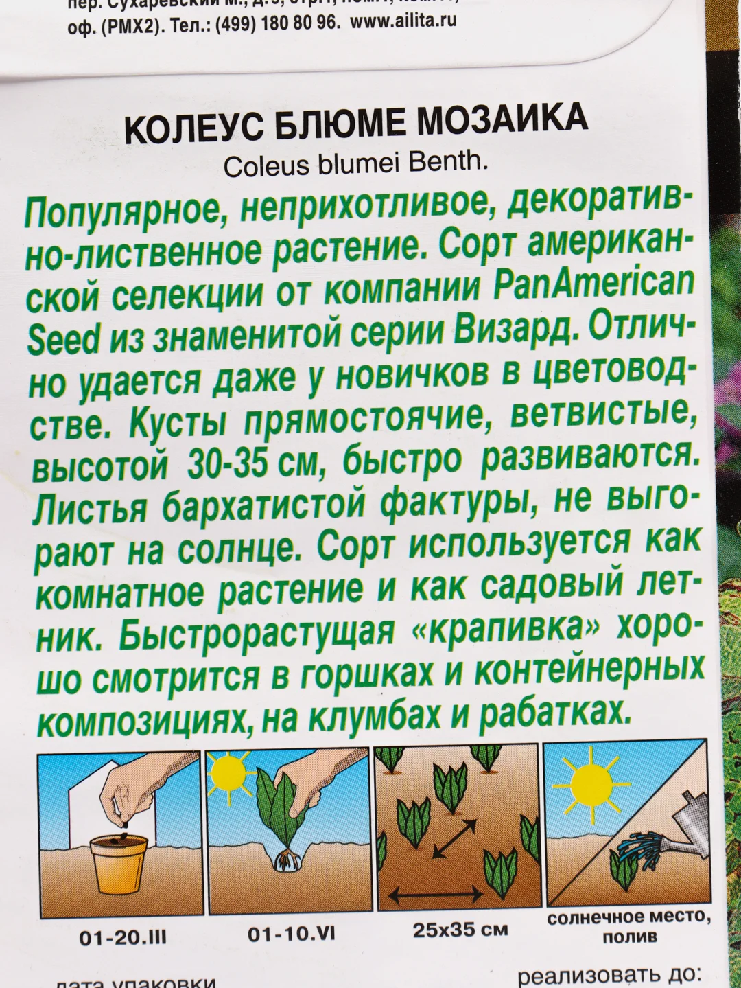 Семена Колеус блюме "Мозаика" набор 1, 3, 5 уп