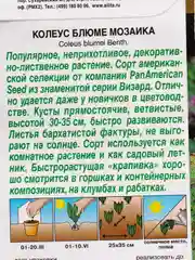 Семена Колеус блюме "Мозаика" набор 1, 3, 5 уп
