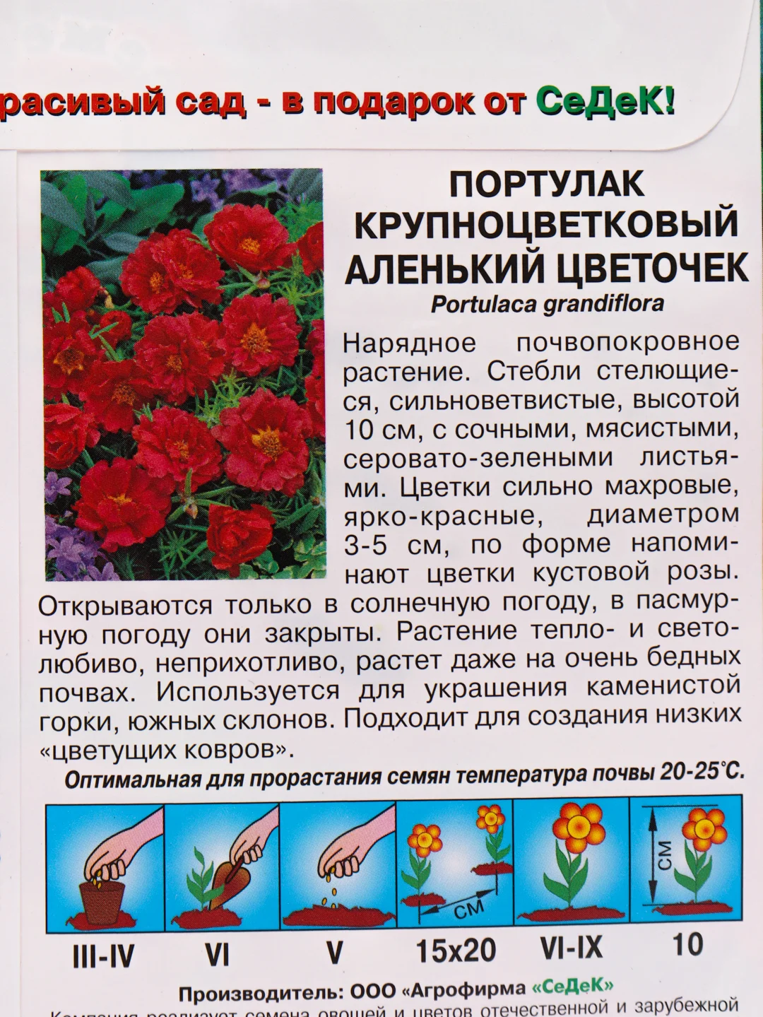 Семена Портулак "Аленький цветочек" набор 1, 3, 5 уп