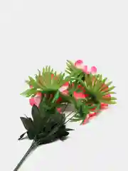 Фуксия искусственные цветы