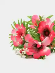 Фуксия искусственные цветы