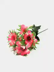 Фуксия искусственные цветы