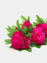 Вишнёвый 181-187