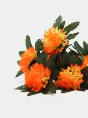 Оранжевый 411-416 2 желтых
