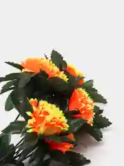Рыжий 411-416 2 желтых