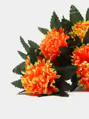 Рыжий 411-416 2 желтых
