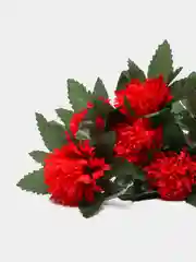Вишнёвый 411-416 2 желтых