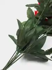 Вишнёвый 411-416 2 желтых