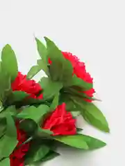 Алый 181-187
