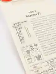 Семена Огурец "Клавдия F1" набор 1, 3, 5 уп