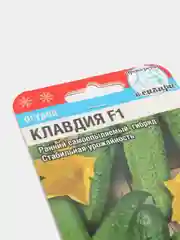 Семена Огурец "Клавдия F1" набор 1, 3, 5 уп