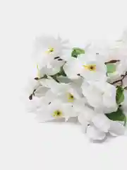 Белый искусственная Сакура