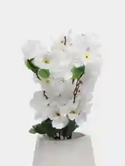 Белый искусственная Сакура