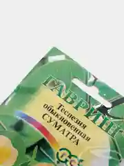 Теспезия Суматра (семена,цветы)