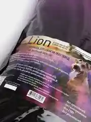 Сухой корм Grand Dog Lion Premium для взрослых собак мелких пород на рыбной основе, 10 кг
