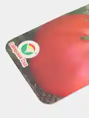 Семена Томат  Розовая ляна  набор 1, 3, 5 уп
