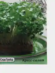 Микрозелень кресс-салат (семена)