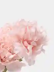Розовый искусственные цветы, пионы крупные, 7 бутонов