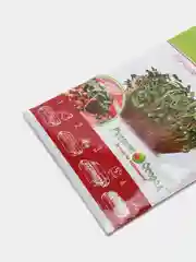 Семена Микрозелень Редис, 10 г