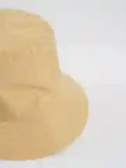 Бежевый панама