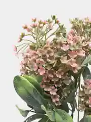 Розовый искусственная зелень, барбарис, осока