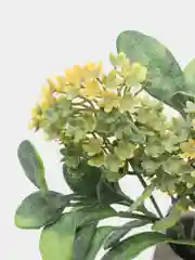 Лимонный искусственная зелень, барбарис, осока