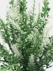 Белый букеты искусственных цветов, лаванда, букет, композиция, декор для дома, растения