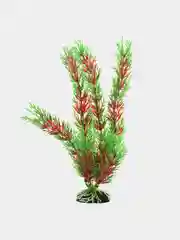 Растение для аквариума Plant 001 Перистолистник красный