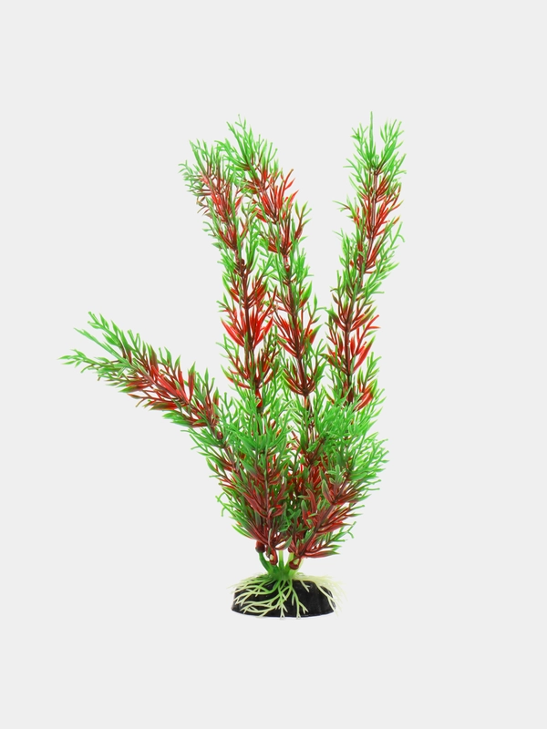 Растение для аквариума Plant 001 Перистолистник красный