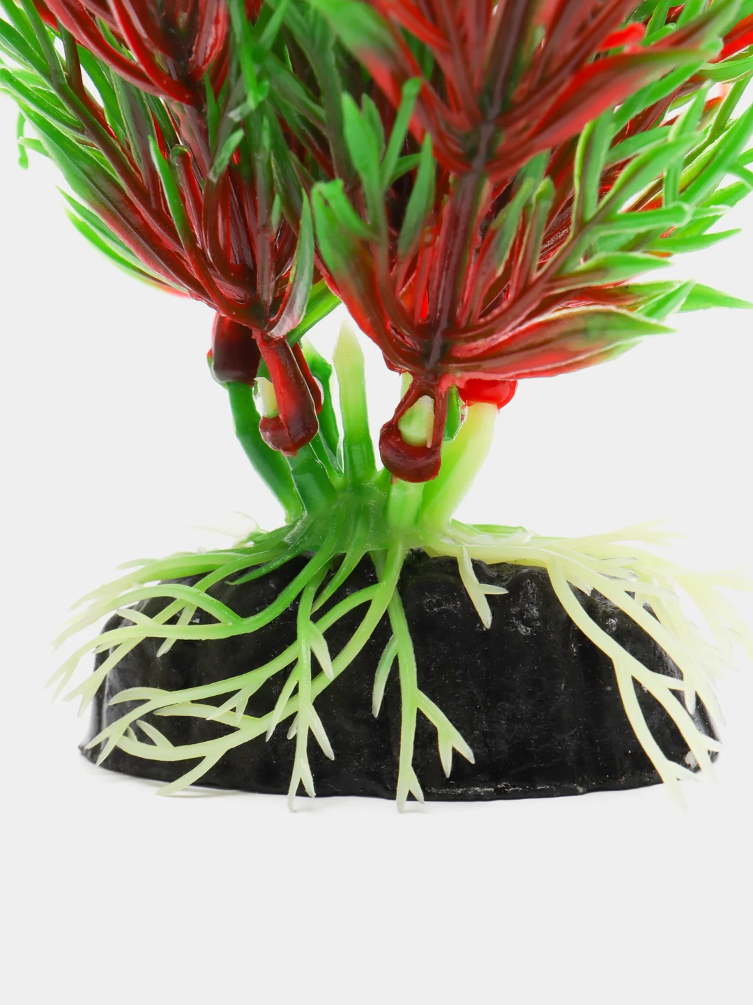 Растение для аквариума Plant 001 Перистолистник красный